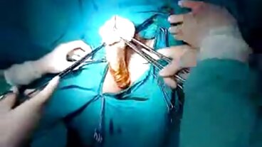 Brazzers: PornHD에 Kitana 미끼와 백합 기쁨이 있는 발 페티쉬 삼인조